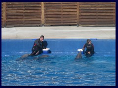 L'Oceanogràfic Oceanarium 113